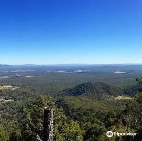 Mount Bauple National Park