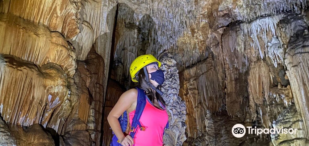 2023年ゴイアス州の人気観光スポット ゴイアス州の旅行ガイド ゴイアス州のおすすめ観光スポットのチケット、ホテル、楽しみ方、グルメ