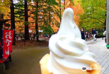 神戸市立森林植物園 観光スポットの人気写真