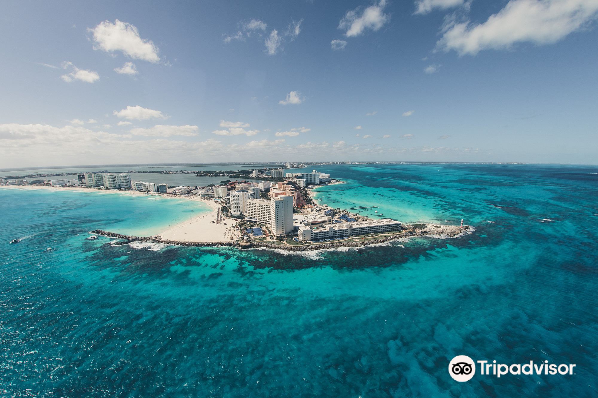 Flor do Caribe Cancún attraction reviews - Flor do Caribe Cancún tickets - Flor do Caribe Cancún discounts - Flor do Caribe Cancún transportation, address, opening hours - attractions, hotels, and food Flor do Caribe Cancún attraction reviews - Flor do Caribe Cancún tickets - Flor do Caribe Cancún discounts - Flor do Caribe Cancún transportation, address, opening hours - attractions, hotels, and food