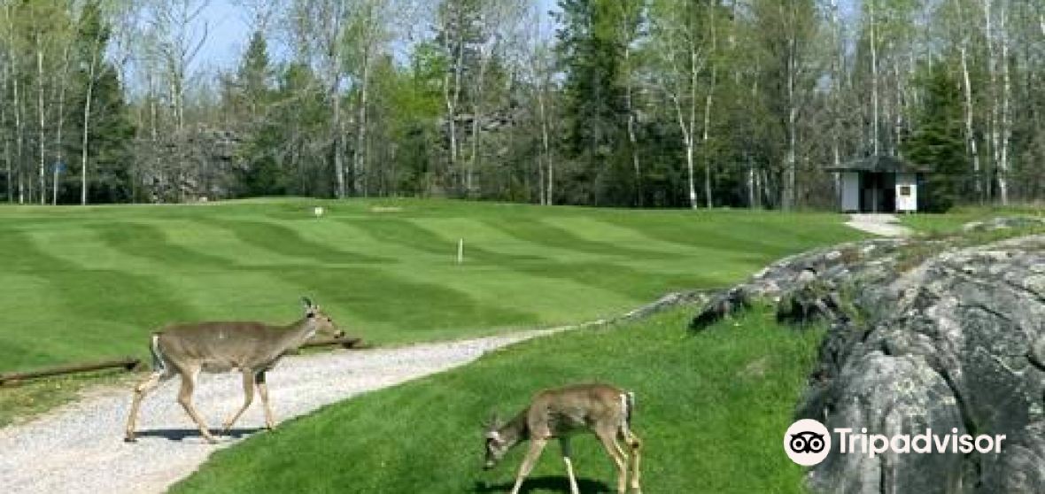 แนะนำการเดินทาง Pinawa 2023 สิ่งที่ควรทำ, อาหารที่ควรรับประทาน & ทิป