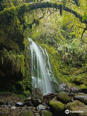 Waterfall of Cariacu