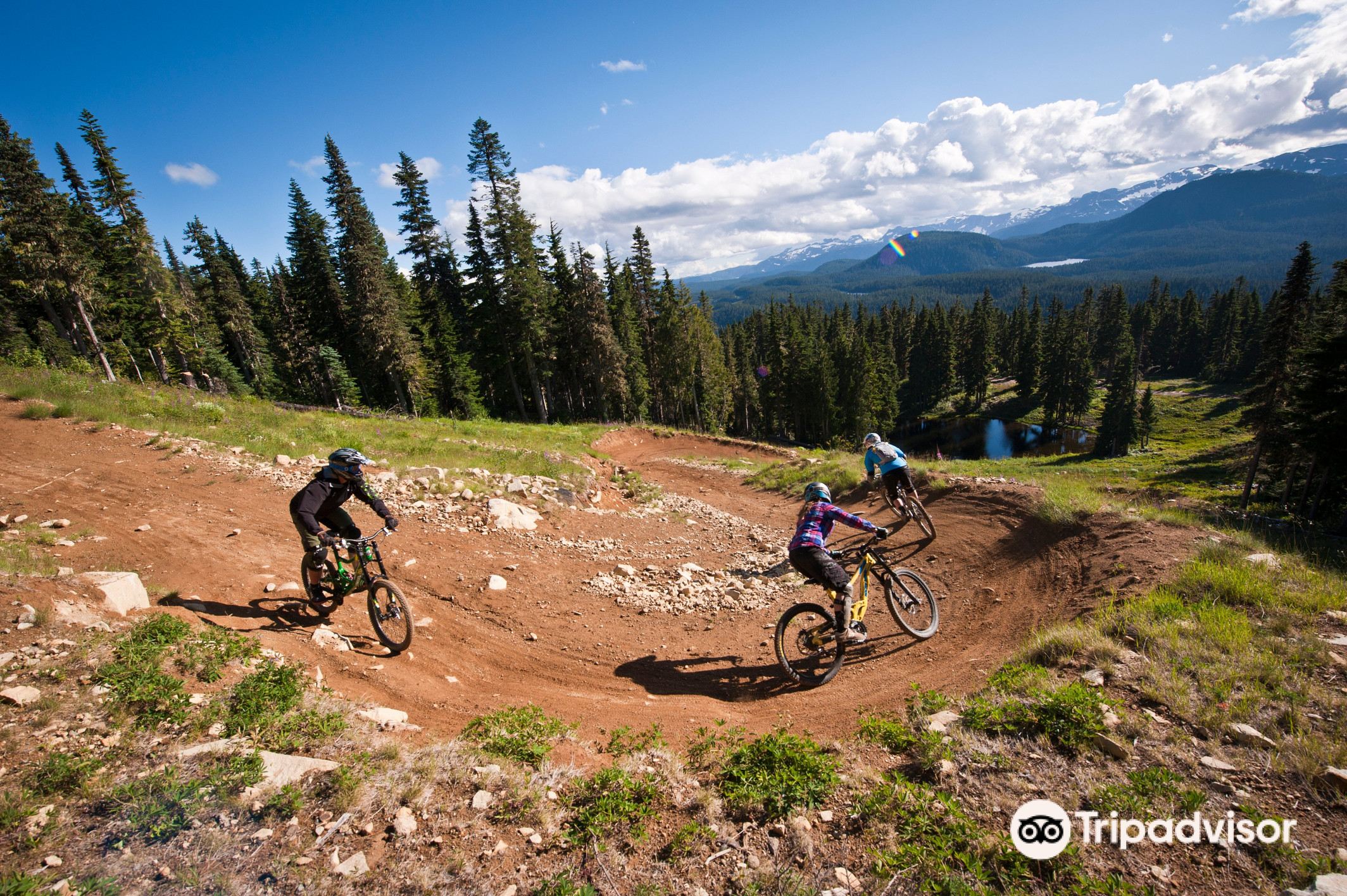 mount washington downhill biking