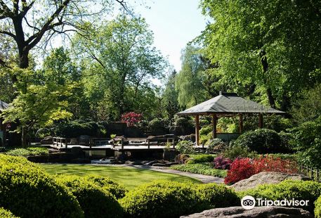 Botanischer Garten - Japan Garten