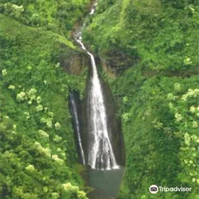 Mt. Waialeale