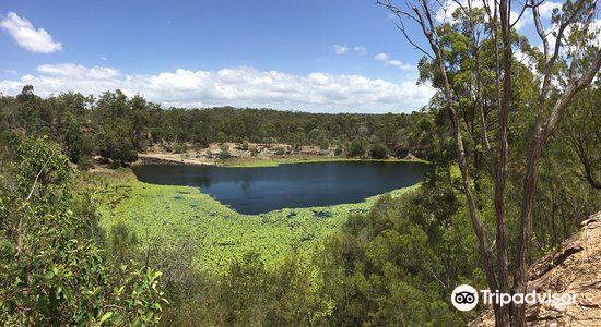 are dogs allowed at daisy hill conservation park