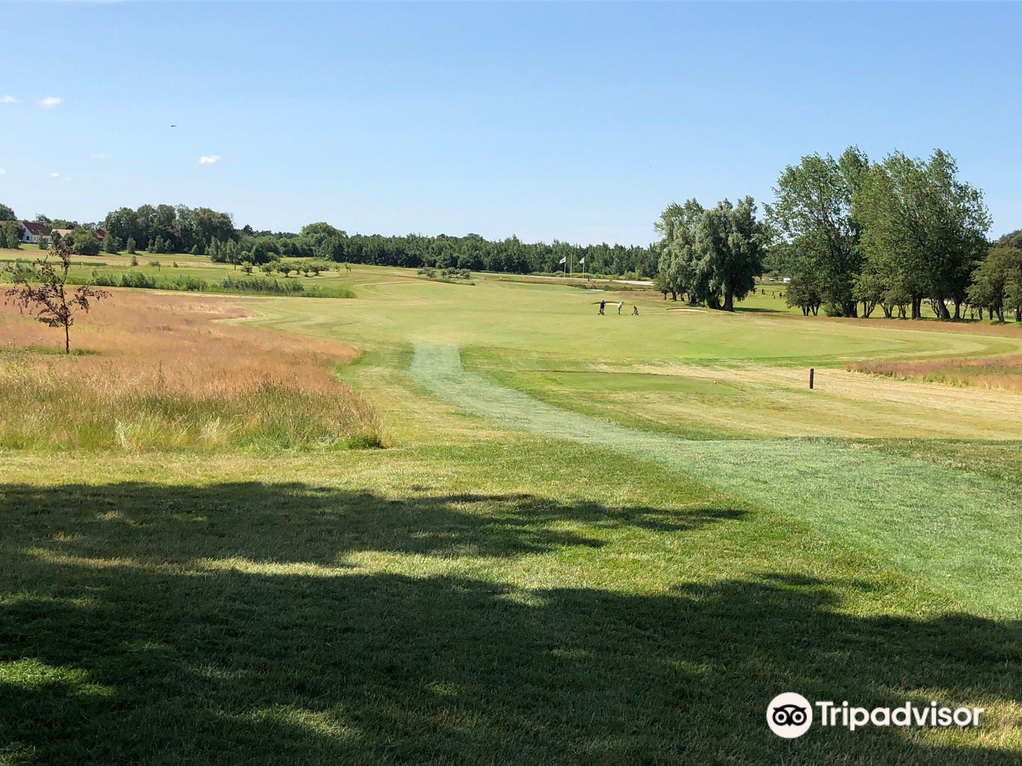 Greve Golfklub attraction reviews - Greve Golfklub tickets - Greve Golfklub discounts - Greve Golfklub transportation, address, opening hours - attractions, hotels, and food near Greve - Trip.com