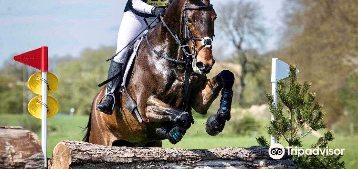 กิจกรรมน่าทำยอดนิยมในBrough with St. Gilesประจำปี 2023 คู่มือท่อง