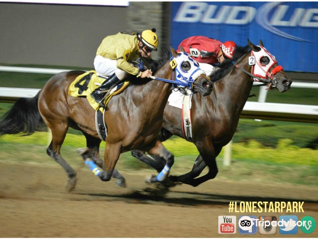 Lone Star Park旅遊攻略指南 Lone Star Park評價 Lone Star Park附近推薦 Trip Com