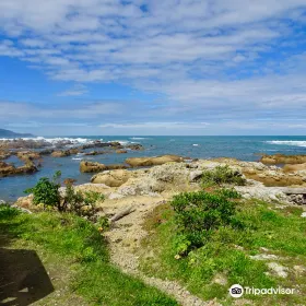 Taputeranga Marine Reserve