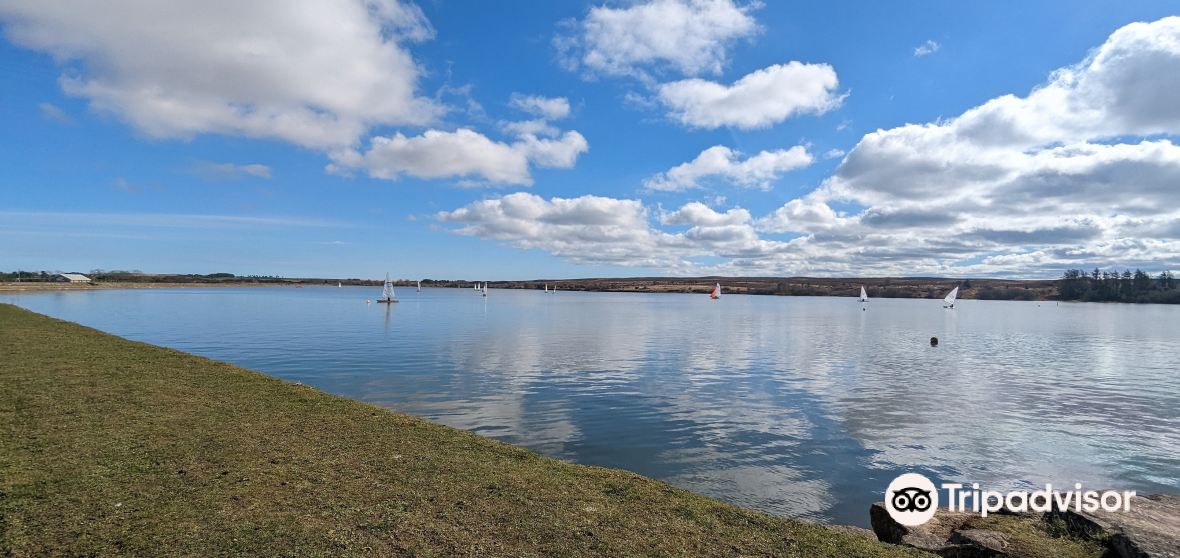 Roxby Travel Guide 2023 Things to Do, What To Eat & Tips