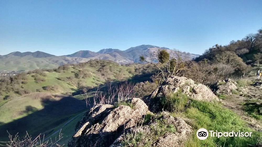 Shell Ridge Open Space景點評價 Shell Ridge Open Space門票 Shell Ridge Open Space優惠 Shell Ridge Open Space交通 地址 開放時間 Shell Ridge Open Space附近景點 酒店及美食 Trip Com