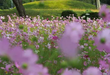 Tsukahara Burial Mounds รูปภาพAttractionsยอดนิยม