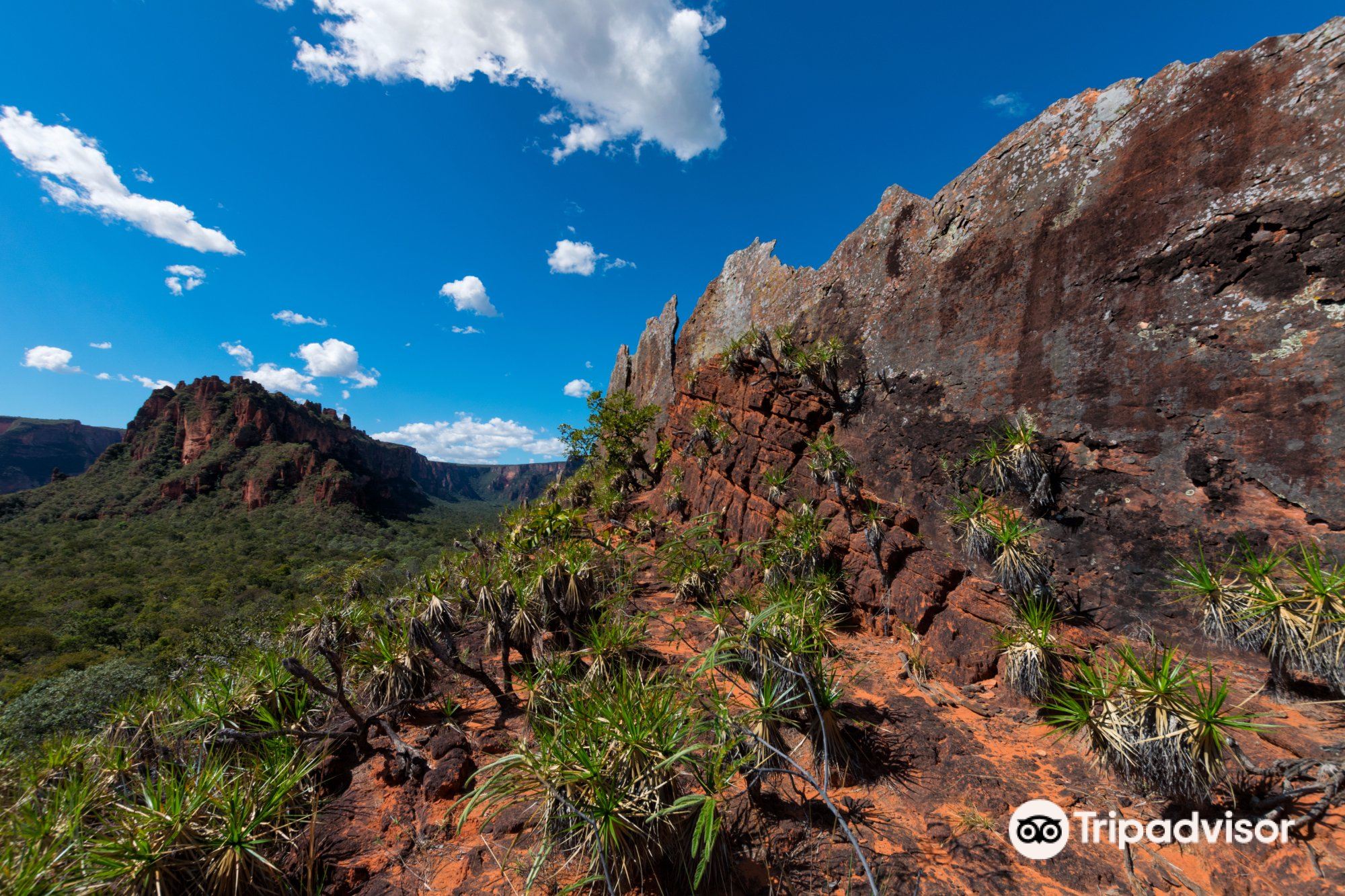 22年シャパダ ドス ギマランイスの人気観光スポット シャパダ ドス ギマランイスの旅行ガイド シャパダ ドス ギマランイスのおすすめ観光スポットのチケット ホテル 楽しみ方 グルメ レストラン Trip Com 22年シャパダ ドス ギマランイスの人気観光スポット シャパダ ドス ギマランイスの旅行ガイド シャパダ ドス ギマランイスのおすすめ観光スポットのチケット ホテル 楽しみ方 グルメ レストラン Trip Com