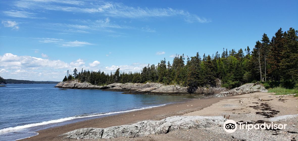 Blacks Harbour Travel Guide 2023 Things to Do, What To Eat & Tips