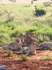 Afrika Pearl Safari Adventure