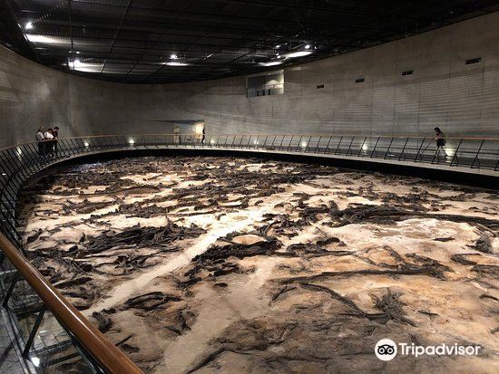 地底之森博物館