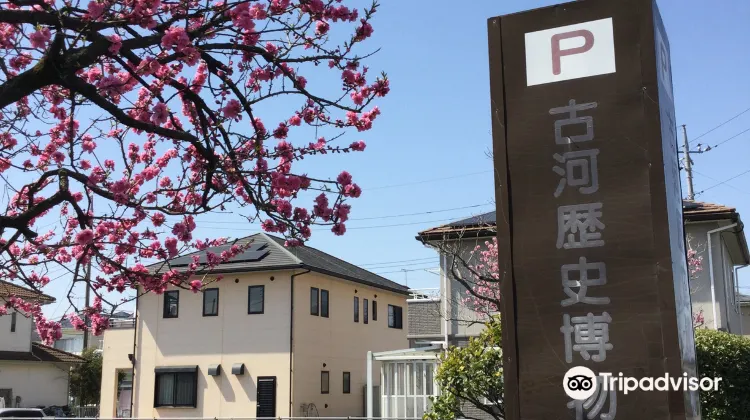 古河 古河歴史博物館 評判 案内 トリップドットコム