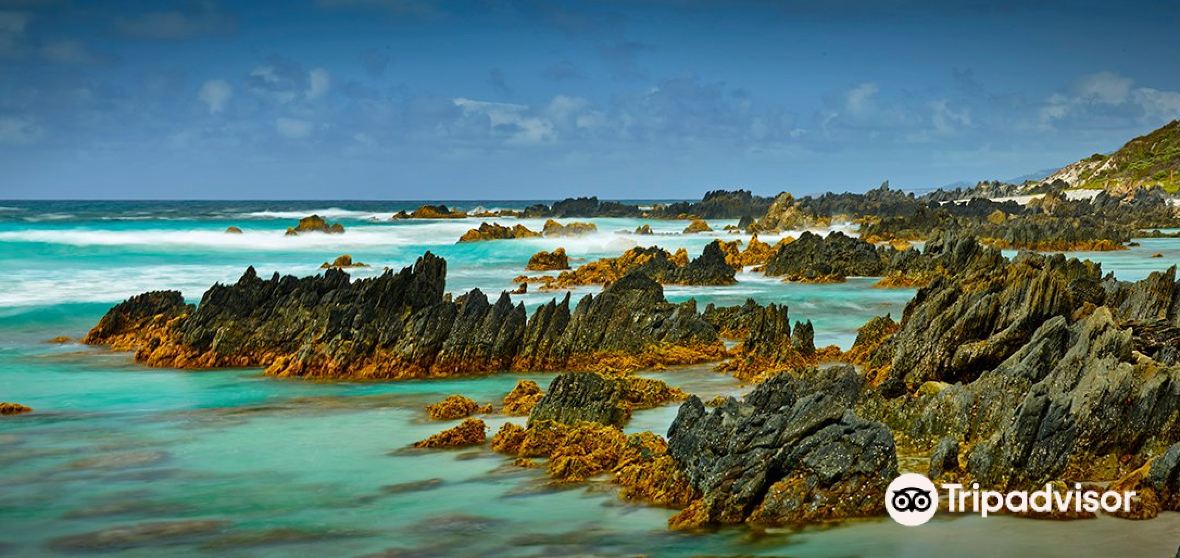 브레머 베이 2023 인기 명소 브레머 베이 트립 가이드 브레머 베이 인기 명소 입장권 추천, 호텔, 가 볼 만한 곳