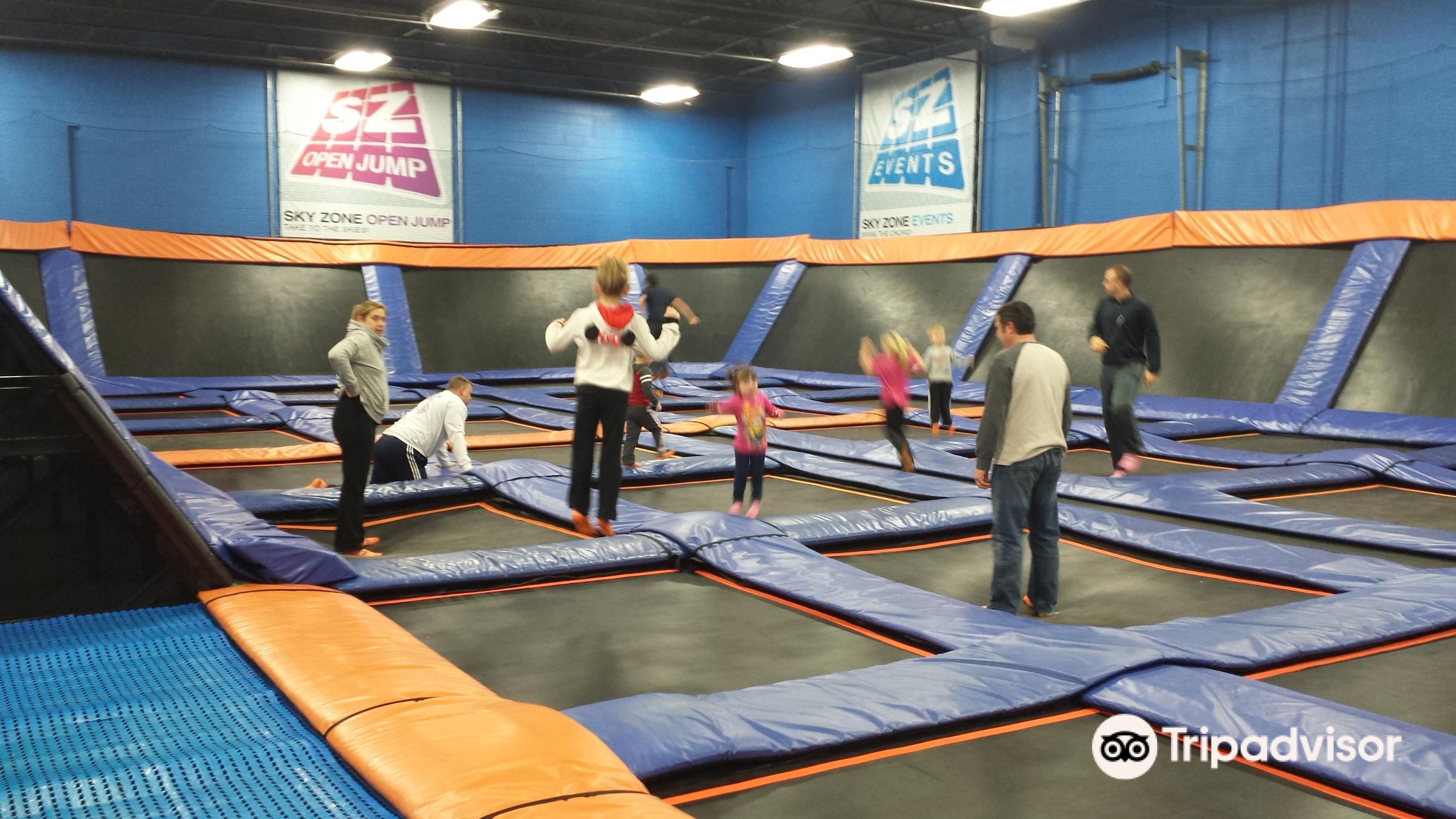 skyzone hobbies