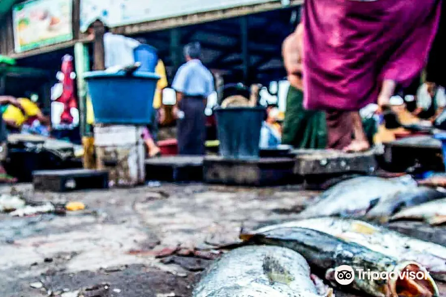 Fish Market3