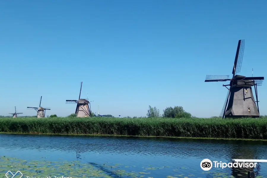 Boottocht Rotterdam - Kinderdijk