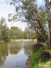 Murrumbidgee Valley National Park