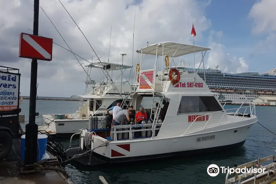 8월의 Mermaid Dive Center Aruba에 대한 최신 여행 일정 (2023년에 업데이트됨), Mermaid Dive