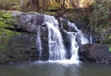 Lilydale Falls 熱門景點照片