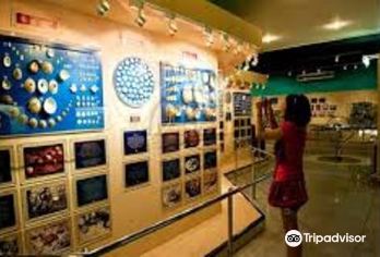 Phuket Seashell Museum Popular Attractions Photos