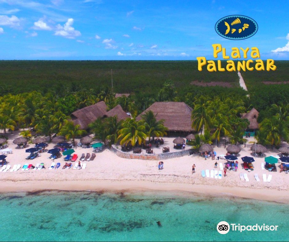 Latest travel itineraries for Playa Palancar in May (updated in 2023), Playa  Palancar reviews, Playa Palancar address and opening hours, popular  attractions, hotels, and restaurants near Playa Palancar 