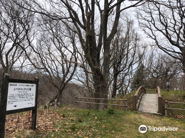 英傑シャクシャイン像のレビュー 英傑シャクシャイン像のチケット 英傑シャクシャイン像の割引 英傑シャクシャイン像の交通機関 所在地 営業時間 英傑シャクシャイン像周辺の観光スポット ホテル グルメ Trip Com