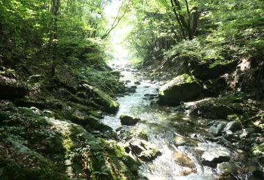 Ryujin Falls รูปภาพAttractionsยอดนิยม