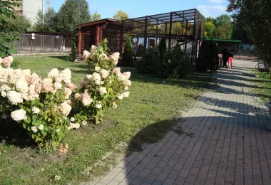 Ivanovo Zoo รูปภาพAttractionsยอดนิยม