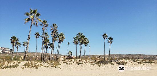 Playa Del Rey Beach Travel Guidebook Must Visit Attractions In Los Angeles Playa Del Rey Beach Nearby Recommendation Trip Com