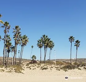 Playa Del Rey Beach