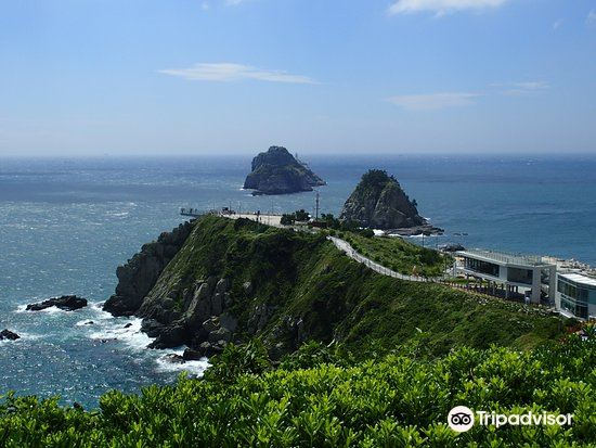 釜山 プサン オリュクド 五六島 スカイウォーク 評判 案内 トリップドットコム