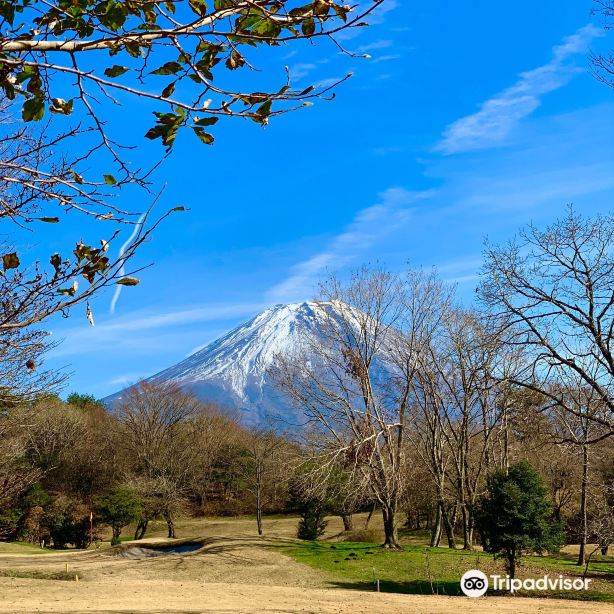 朝霧高原滑翔傘體驗景點評價 朝霧高原滑翔傘體驗門票 朝霧高原滑翔傘體驗優惠 朝霧高原滑翔傘體驗交通 地址 開放時間 朝霧高原 滑翔傘體驗附近景點 酒店及美食 Trip Com