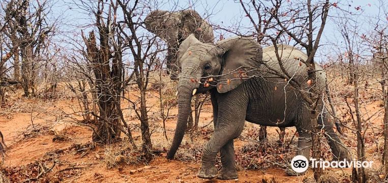 PHALABORWA TRAVEL GUIDE intelligence overview