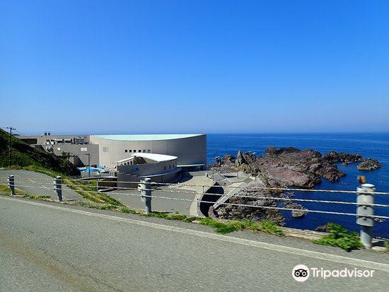 男鹿 男鹿水族館ｇａｏ 評判 案内 トリップドットコム