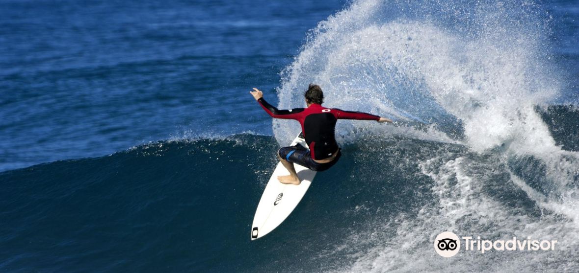 Te Arai Travel Guide 2023 Things to Do, What To Eat & Tips