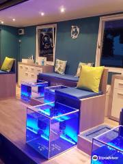 Fish Pedicure Krk