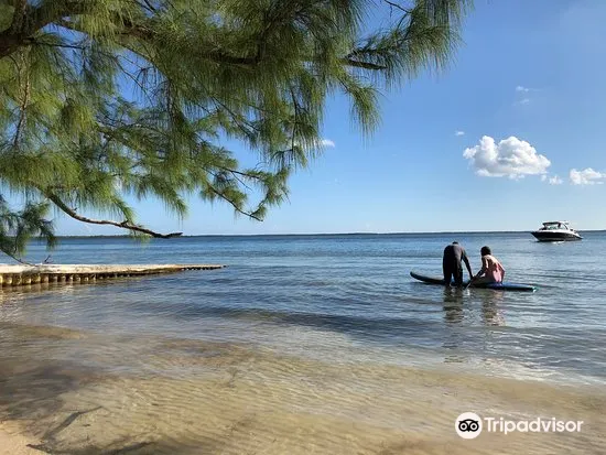Starfish Point旅遊攻略指南 Starfish Point評價 Starfish Point附近推薦 Trip Com