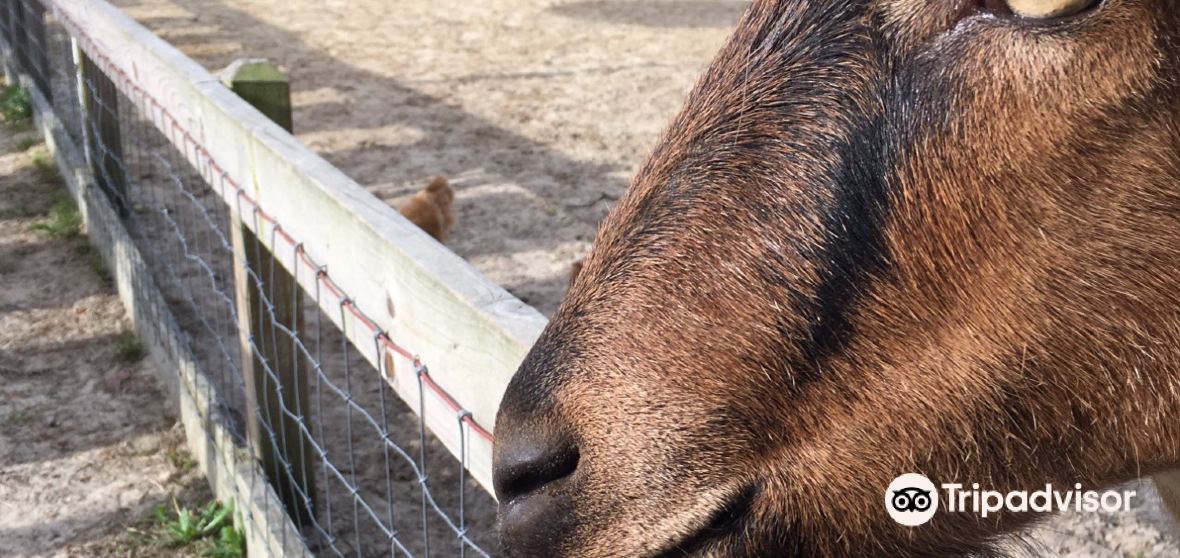 Town Creek Travel Guide 2023 Things to Do, What To Eat & Tips