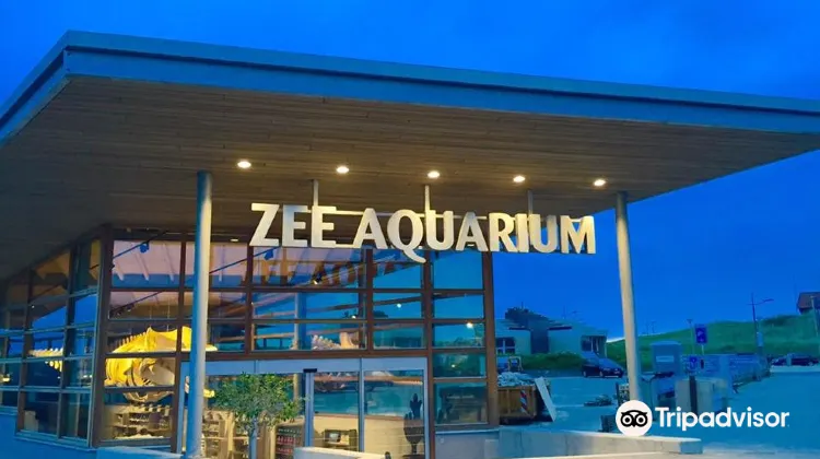 Claire Trottoir Los Zee Aquarium travel guidebook –must visit attractions in Bergen aan Zee – Zee  Aquarium nearby recommendation – Trip.com