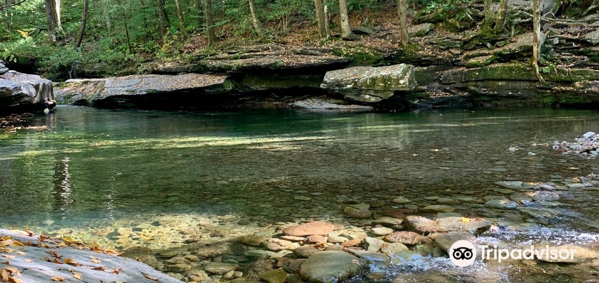 Neversink 2023 Top Things to Do Neversink Travel Guides Top