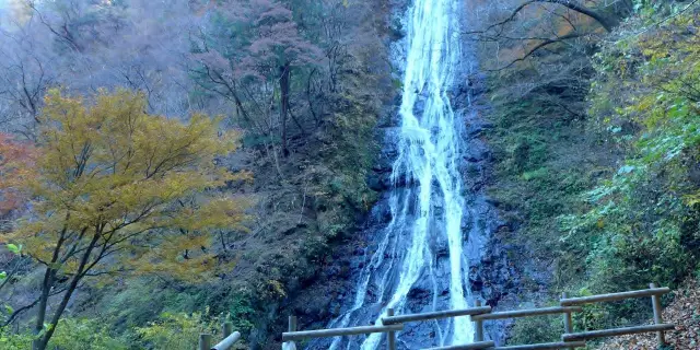 22年秩父郡の人気観光スポット 秩父郡の旅行ガイド 秩父郡のおすすめ観光スポットのチケット ホテル 楽しみ方 グルメ レストラン Trip Com