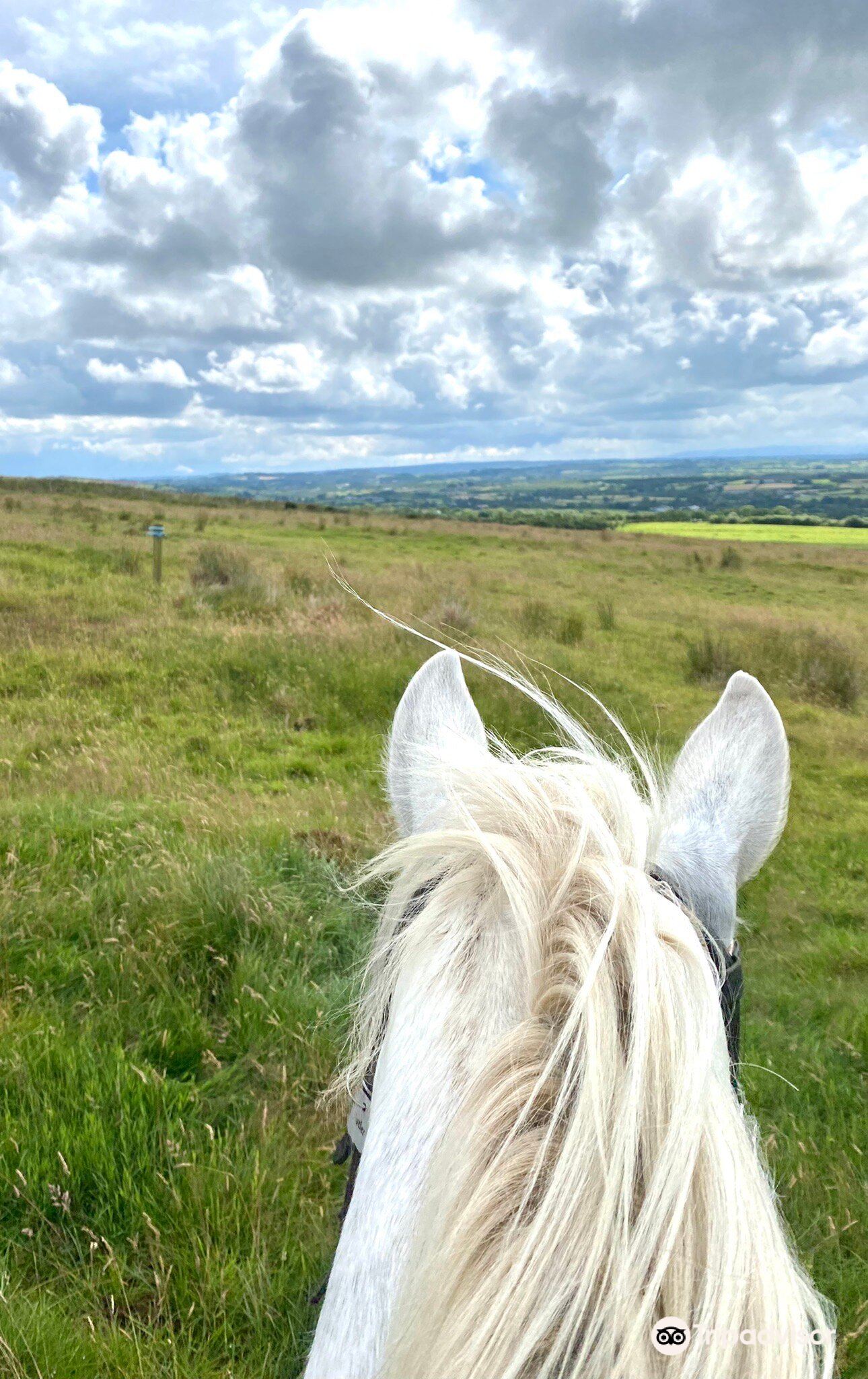 sheans-horse-farm-ni-explorer