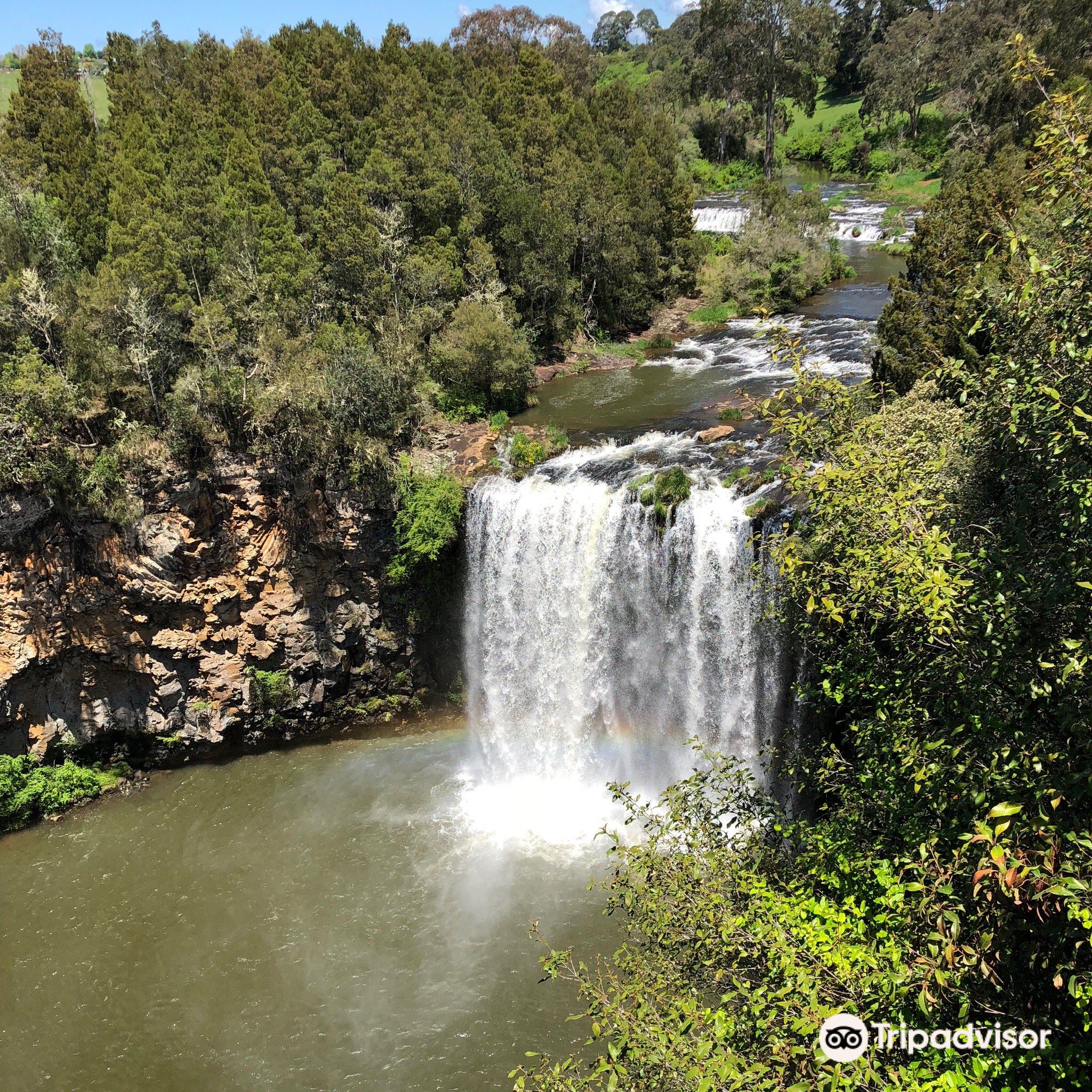 are dogs allowed at dangar falls