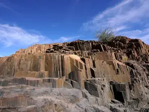 Organ Pipes